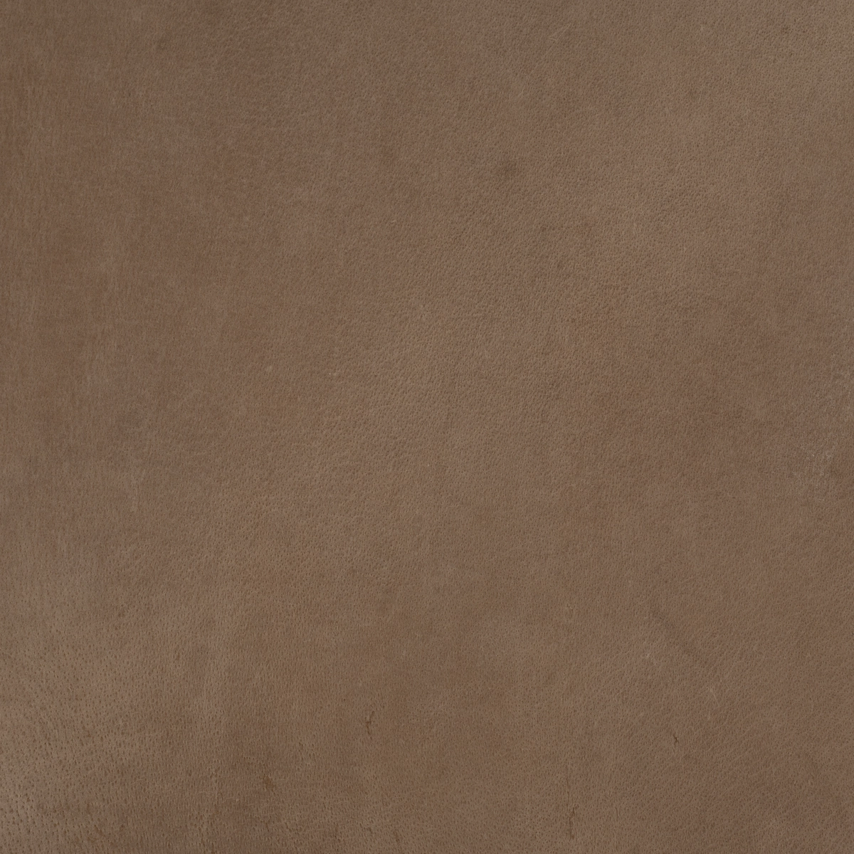 Nature banner 2